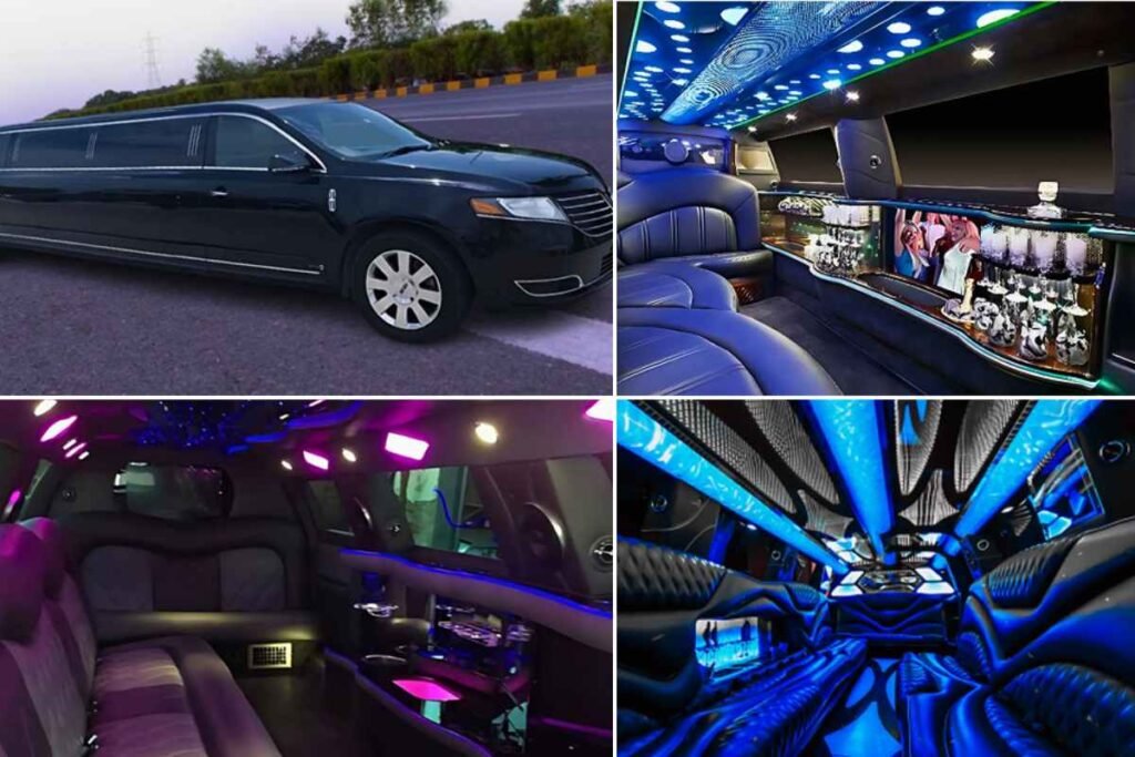 Features in Pub Crawl & Bar Hopping Party Buses