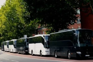 Different Types of Buses: A Complete Guide for Modern Transportation