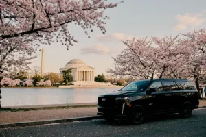 Best Time to Visit DC Complete Seasonal Guide
